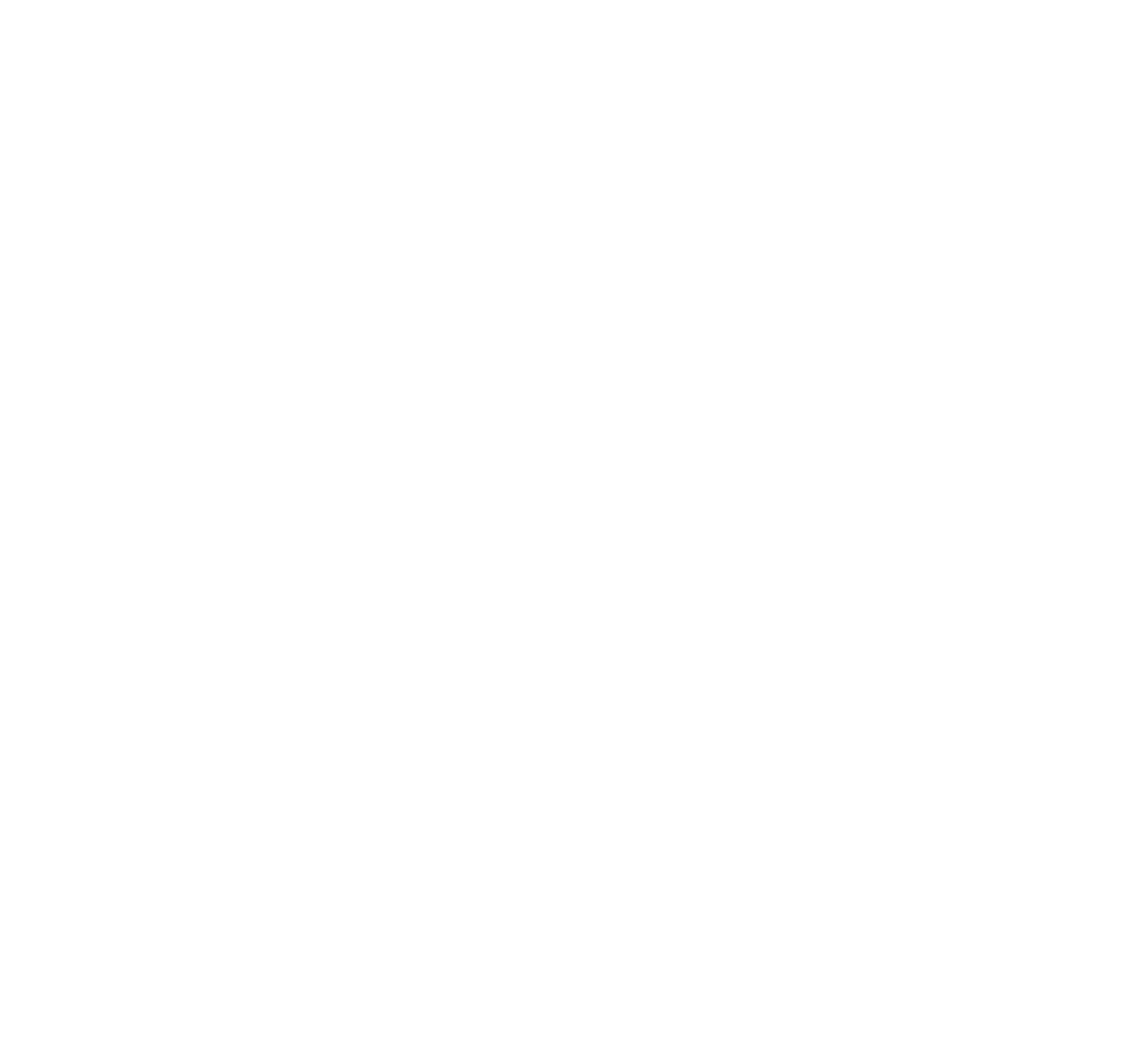 Fokker Logo